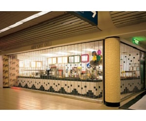 CommercialGarageDoor_OverheadDoor_SecurityGrille_Model670