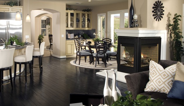 Fireplace_Astria_GasFireplace_LibraPF