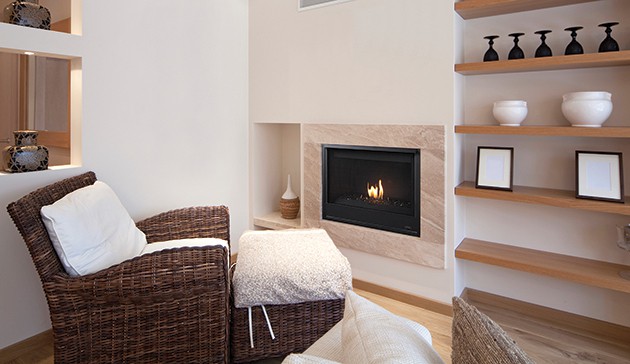 Astria Aries CD Gas Fireplace Insert