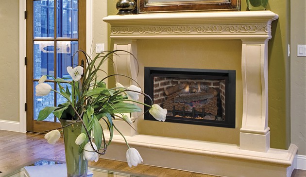 Astria Alpha Gas Fireplace Insert