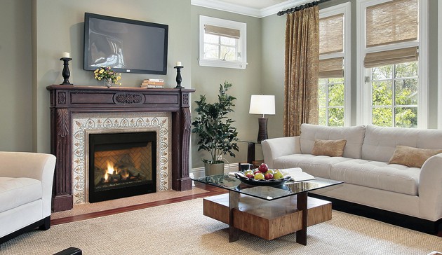 Astria Altair Gas Fireplace Insert