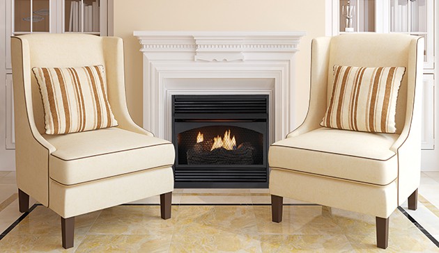 Astria Gamma Gas Fireplace Insert