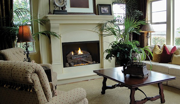 Astria Vega Gas Fireplace Insert