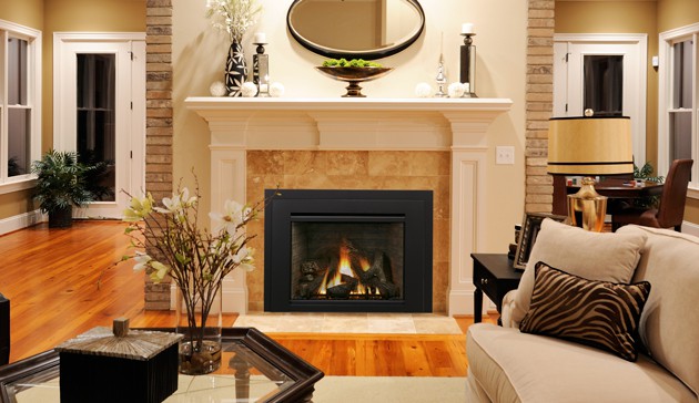 Iron Strike Madison Park 32 Gas Fireplace Insert