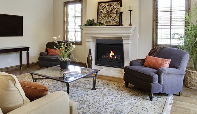 Astria Aries Gas Fireplace Insert