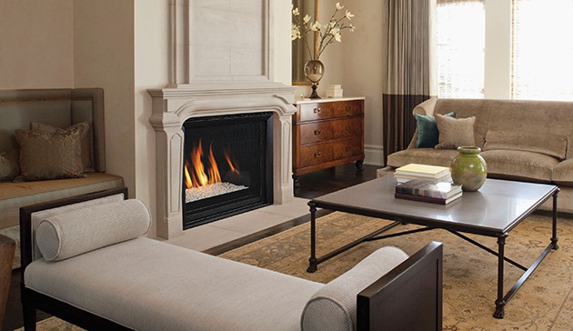 Astria Envy CD Gas Fireplace Insert