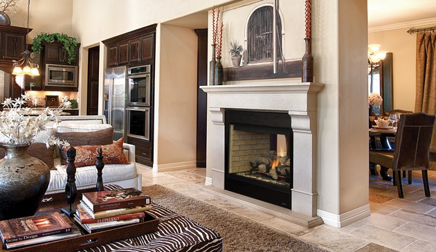 Astria Marin See Through Gas Fireplace Insert