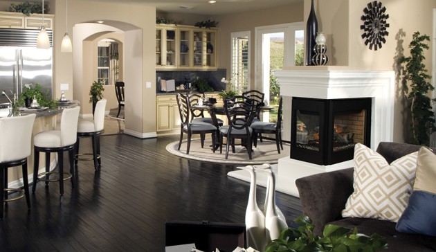 Astra Eros Multi-View Gas Fireplace Insert