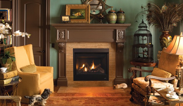 Astria Gemini Gas Fireplace Insert