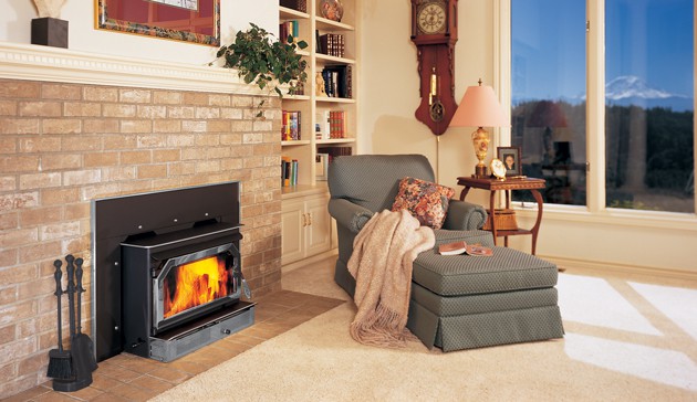 Iron Strike Legacy C260 Wood Burning Insert