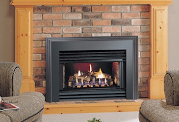 cressy-door-fireplace-insert-montigo-hotshot